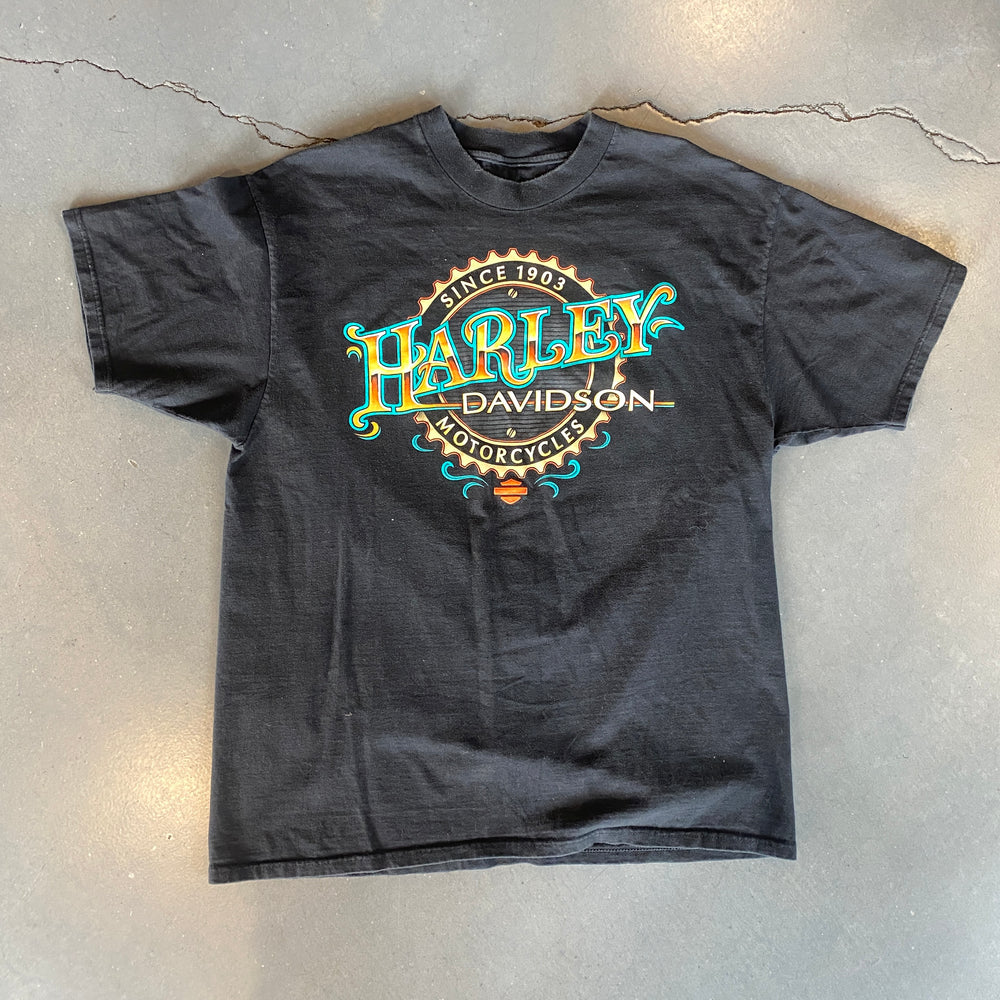 
                  
                    Load image into Gallery viewer, Vintage &amp;#39;Harley Davidson Gainesville Gator&amp;#39; T-Shirt
                  
                