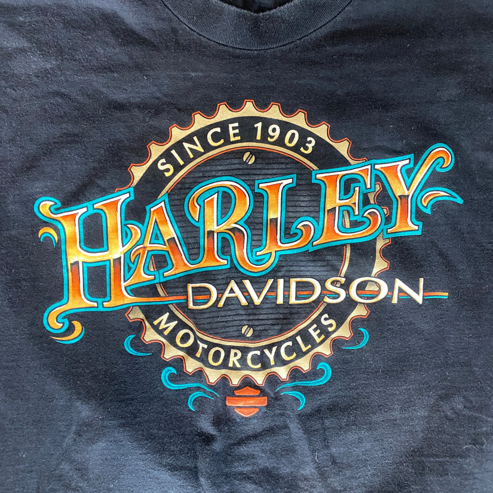 
                  
                    Load image into Gallery viewer, Vintage &amp;#39;Harley Davidson Gainesville Gator&amp;#39; T-Shirt
                  
                
