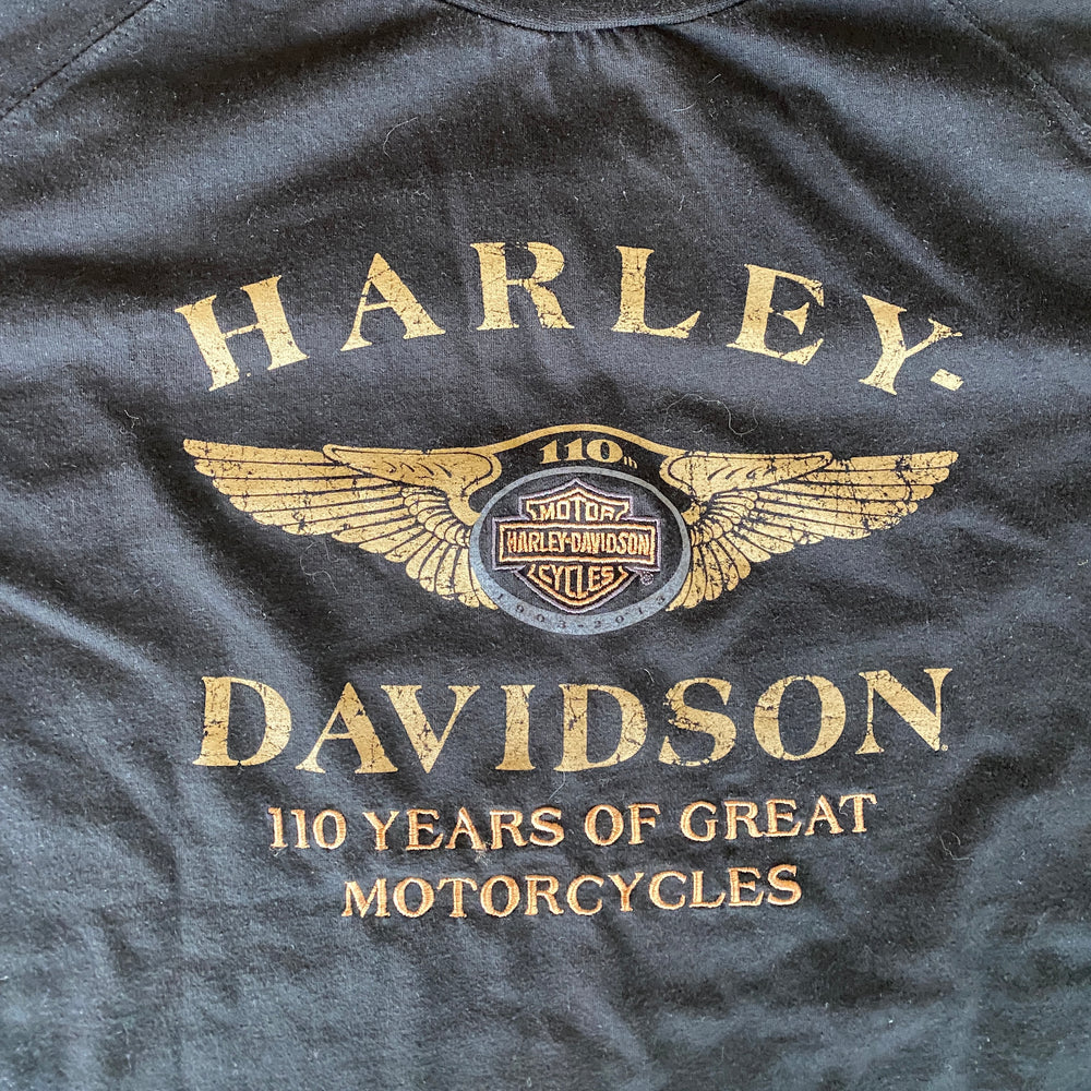 
                  
                    Load image into Gallery viewer, Vintage &amp;#39;Harley Davidson 100 Years&amp;#39; T-Shirt
                  
                