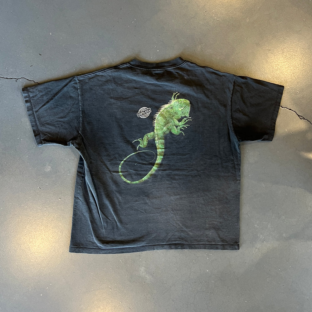 
                  
                    Load image into Gallery viewer, Vintage Iguana De Costa Rica &amp;quot;Green Iguana&amp;quot; T-Shirt
                  
                