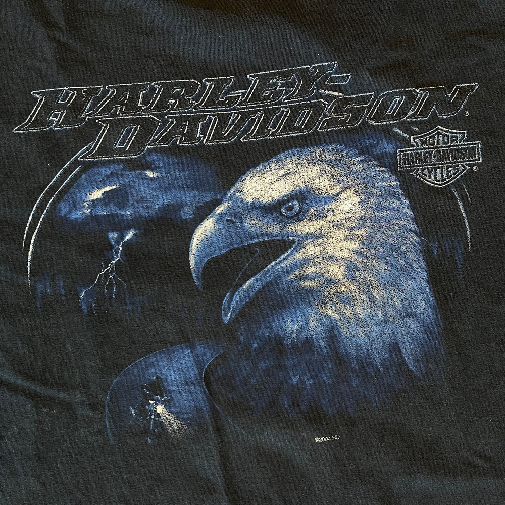 
                  
                    Load image into Gallery viewer, Vintage Harley Davidson &amp;quot;Blue Eagle Lightning&amp;quot; T-Shirt
                  
                