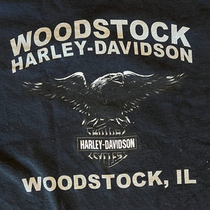 
                  
                    Load image into Gallery viewer, Vintage Harley Davidson &amp;quot;Blue Eagle Lightning&amp;quot; T-Shirt
                  
                