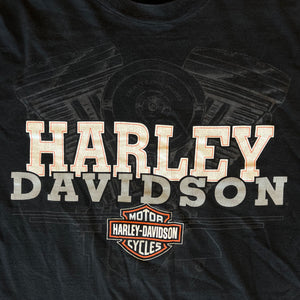 
                  
                    Load image into Gallery viewer, Vintage Harley Davidson &amp;quot;Ray Price&amp;quot; T-Shirt
                  
                