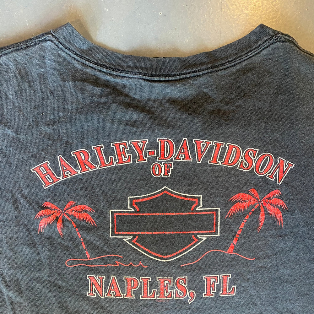 
                  
                    Load image into Gallery viewer, Vintage &amp;quot;Harley Davidson Compass&amp;quot; T-Shirt
                  
                
