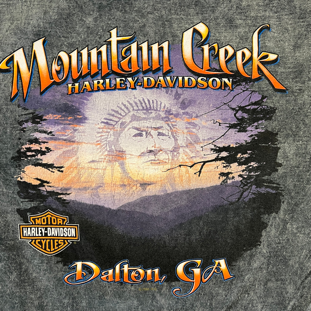 
                  
                    Load image into Gallery viewer, Vintage Harley Davidson &amp;quot;Mountain Creek&amp;quot; T-Shirt
                  
                