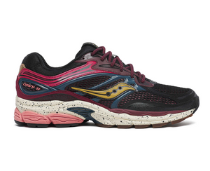 
                  
                    Load image into Gallery viewer, Saucony PROGRID OMNI 9 AUTUMNAL EQUINOX
                  
                