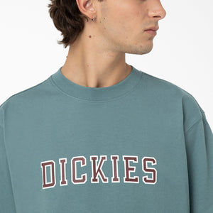 
                  
                    Load image into Gallery viewer, Dickies Melvern Graphic T-Shirt - &amp;#39;Smoke Blue&amp;#39;
                  
                