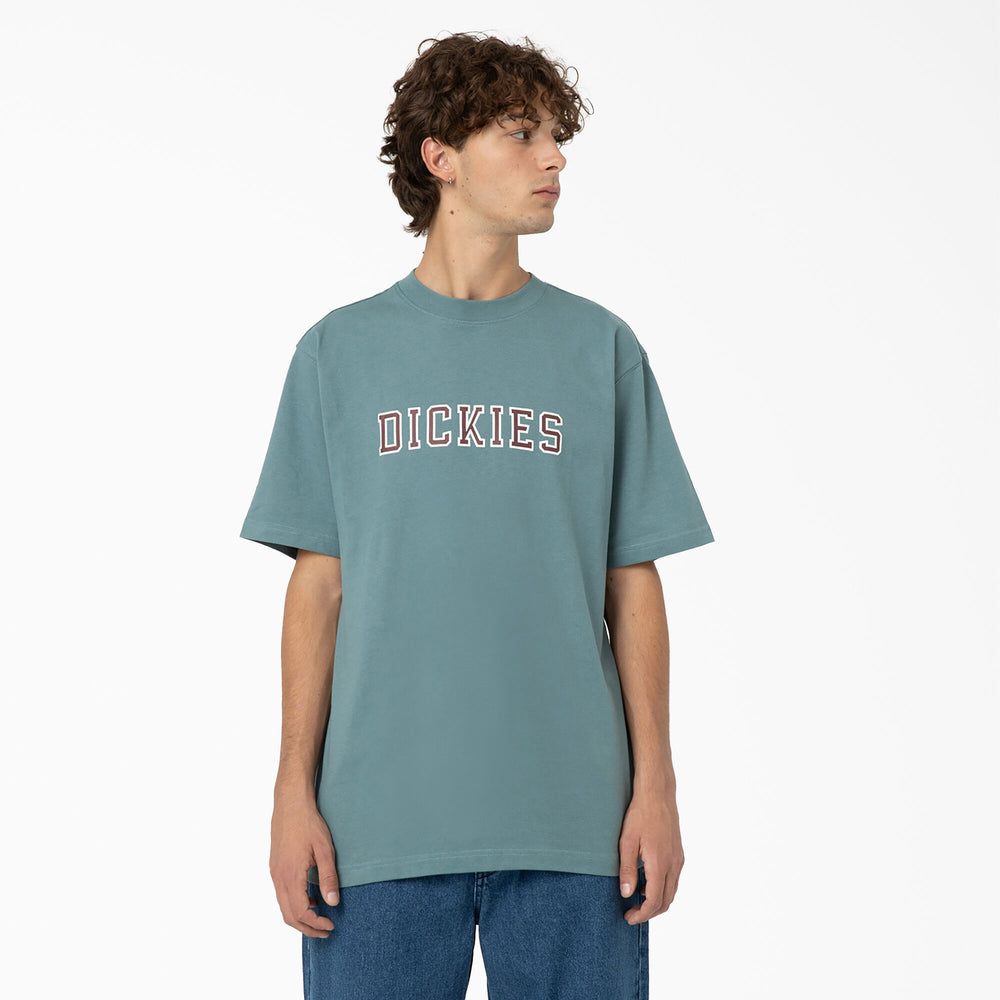 Dickies Melvern Graphic T-Shirt - 'Smoke Blue'