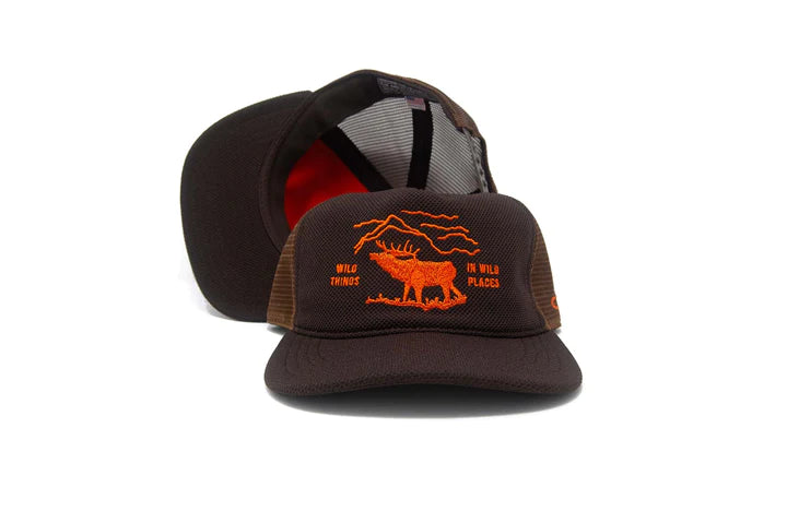 
                  
                    Load image into Gallery viewer, Ampal Creative &amp;#39;Wild Places Trucker&amp;#39; Snapback - &amp;#39;Brown&amp;#39;
                  
                