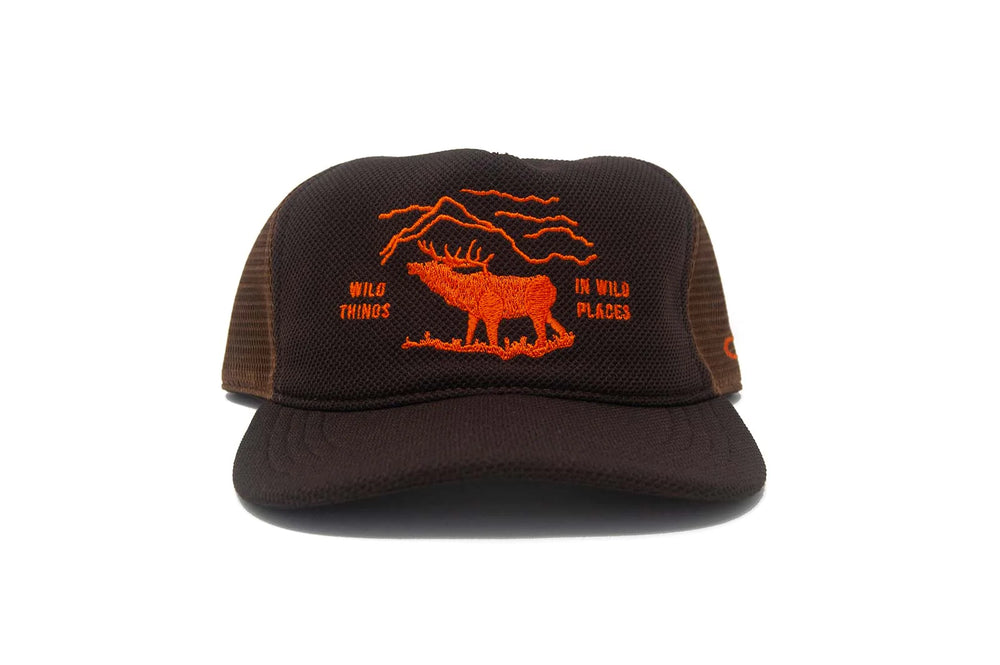 Ampal Creative 'Wild Places Trucker' Snapback - 'Brown'