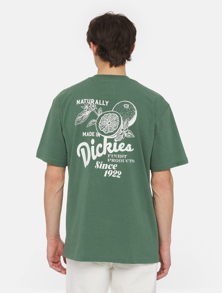 Dickies Raven Short Sleeve T-Shirt - 'Forest'