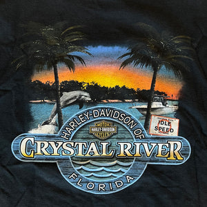 
                  
                    Load image into Gallery viewer, Vintage Harley Davidson &amp;quot;Crystal River&amp;quot; Pocket T-Shirt
                  
                